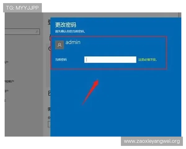 亚星222管理登录入口官方指南帮助玩家顺利进入账号管理界面