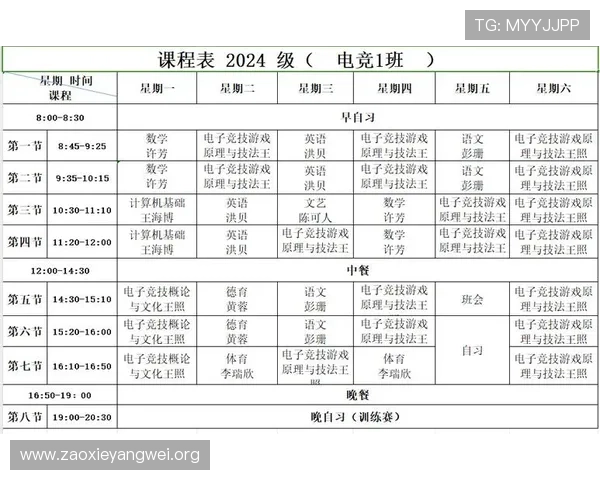 亚星电竞培训课程：提升电竞技能的系统学习方案