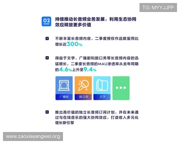星亚娱乐公司简介：全面了解公司发展历程与核心业务的详细介绍